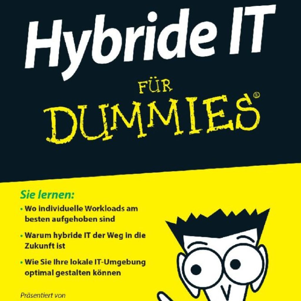 hybrid-it-fuer-dummies